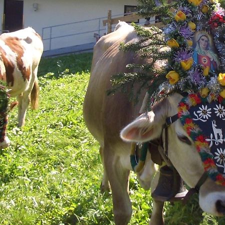 Hotel Gasthof Jaeger Zillertal ชลิทเทอร์ส ภายนอก รูปภาพ